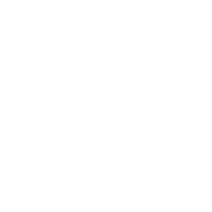 Luxe Festival Wear